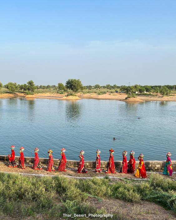 Sanctuary Landscape 2