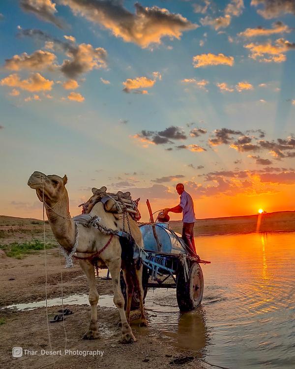 Sanctuary Landscape 3