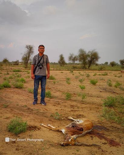 Sanctuary Landscape 8